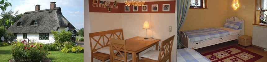 Ferienhaus Reetdach Helse Helserdeich mit Hund Nhe Friedrichskoog und Marne