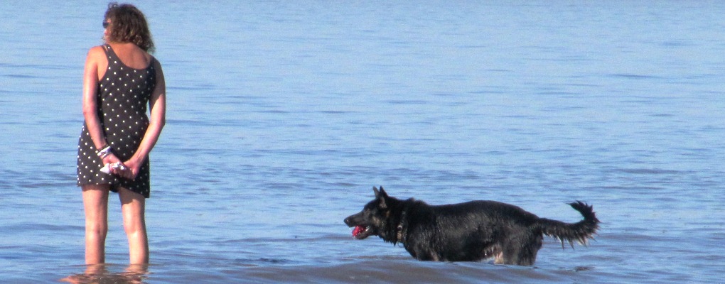 Nordsee Urlaub mit Hund Ferienwohnung Ferienhaus Hunde Nordsee Nordseeurlaub Hundeurlaub Hundeferien Nordseeferien Bsum St.Peter-Ording Friedrichskoog & Friedrichskoog-Spitze Marne-Nordsee Dithmarschen Schleswig-Holstein