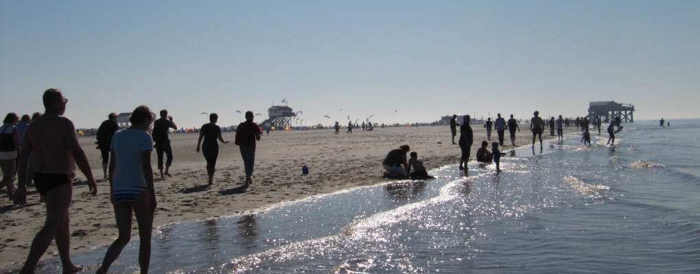 Friedrichskoog Urlaub mit Hund Hundestrand Hundeurlaub Hundeferien Nordseeurlaub mit Hund Ferienhaus